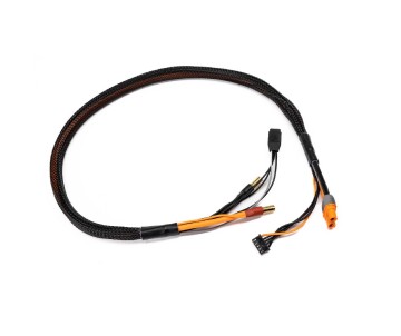 Spektrum Pro Series Race 4s Charge Cable: IC3/5mm 2'