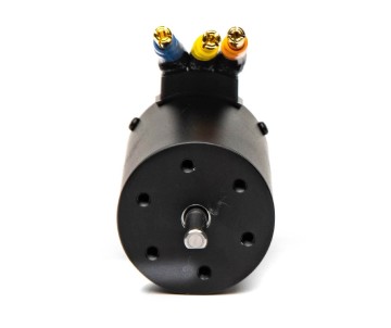 Spektrum Firma 3900Kv 4-pole BL Motor
