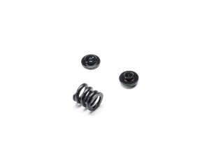 TLR Slipper Spring Set: 22X TLR Slipper Spring Set: 22X