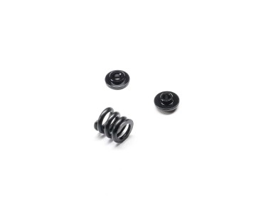 TLR Slipper Spring Set: 22X