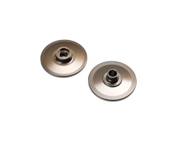 TLR Slipper Plates: 22X