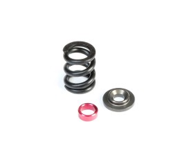 TLR HD Slipper Spring Set, SHDS