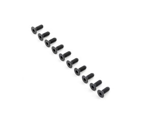 TLR Flat Head Screws, M6x16mm (10)