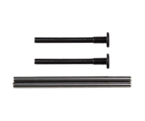 Team Associated Apex2 Hinge Pins