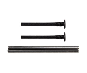 Team Associated Apex2 Hinge Pins