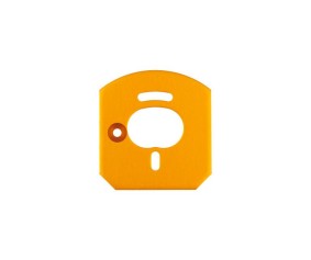 Team Associated 6x6 Motor Mount Plate, Gold