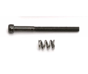 Team Associated Motor Clamp Spring and 4-40 x 1.25 in Screw
