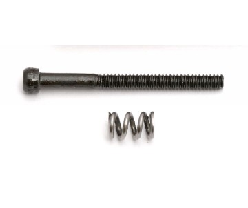 Team Associated Motor Clamp Spring and 4-40 x 1.25 in Screw