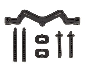 Team Associated DR10 Body Mount and Posts