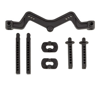Team Associated DR10 Body Mount and Posts