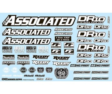 Team Associated DR10 Decal Sheet