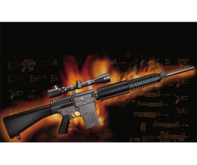 Trumpeter 1/3 AR15/M16/M4 FAMILY-SR25