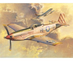 Trumpeter 1/32 P-51 D Mustang 
