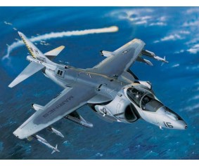 Trumpeter 1/32 AV-8B Night Attack Harrier II