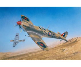 Trumpeter 1/24 Supermarine Spitfire MK.Vb/Trop
