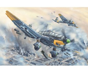 Trumpeter 1/24 Junkers Ju-87D-5 Stuka
