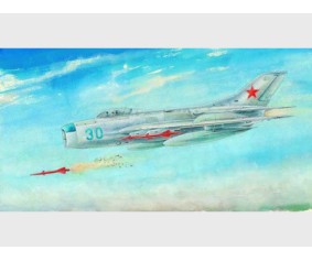 Trumpeter 1/48 MiG-19PM Farmer E