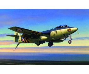 Trumpeter 1/48 