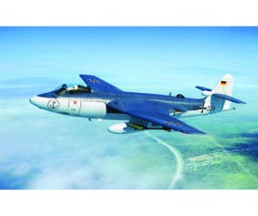 Trumpeter 1/48 