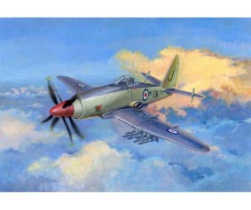 Trumpeter 1/48 