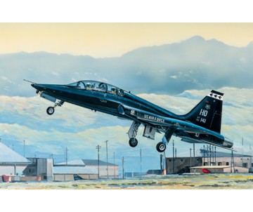 Trumpeter 1/48 US T-38A Talon
