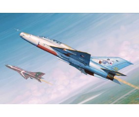 Trumpeter 1/48 MiG-21UM Fighter