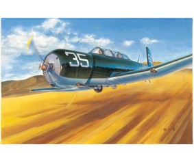 Trumpeter 1/48 China Nanchang CJ-6