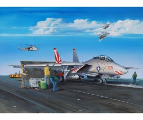 Trumpeter 1/32 F-14A Tomcat