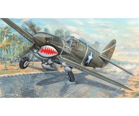 Trumpeter 1/35 P-40F War Hawk