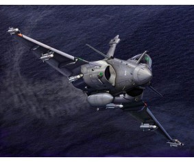 Trumpeter 1/144 French Rafale M