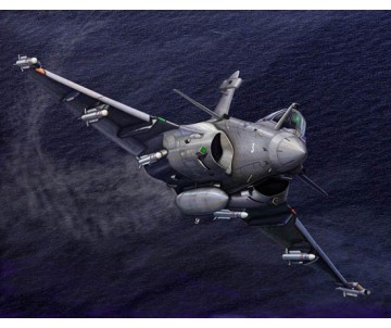 Trumpeter 1/144 French Rafale M
