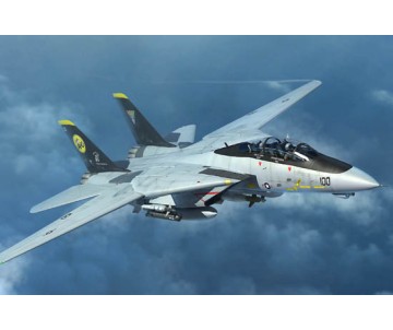 Trumpeter 1/144 F-14D Tomcat