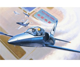 Trumpeter 1/48 L-39C Albatro 