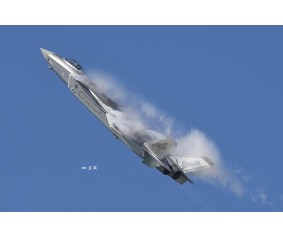 Trumpeter 1/48 Chinese J-20 Mighty Dragon