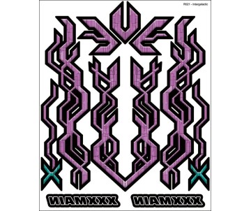 XXX Main Racing Intergalactic Internal Graphic