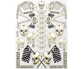 XXX Main Racing Skeletons Sticker Sheet
