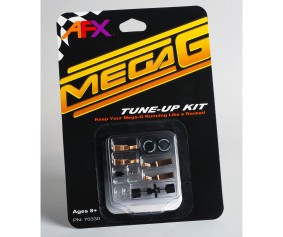 Mega-G Tune Up Kit with Long & Short Pick Up Shoes